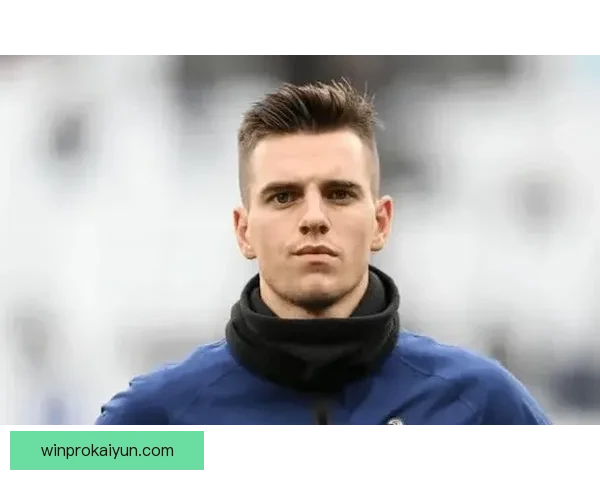 洛塞尔索战术适配性分析：在不同体系下的表现与潜力